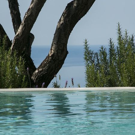 Yades Villas Αθάνι Εξωτερικό φωτογραφία